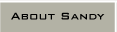 Sandy Patel-Hilferty: About Sandy